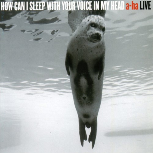 a-ha - 2003 How Can I Sleep With Your Voic